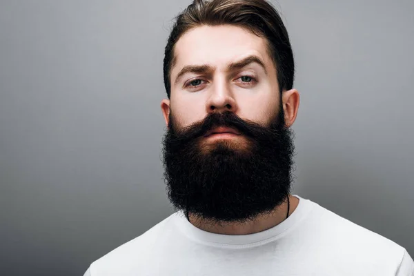 Gri studio arka plan üzerinde poz acımasız yakışıklı beyaz erkek moda sakal ve bıyık, kırpılmış portresi. Sakallı Kuaför Avrupa man modeli yüzünde kendinden emin ifade ile