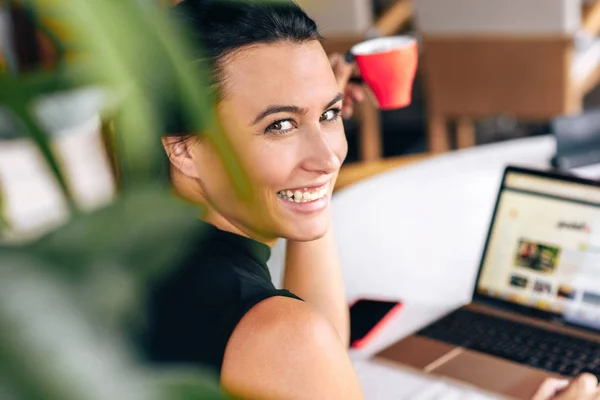 Pemandangan Belakang Pengusaha Tersenyum Dan Bekerja Dengan Laptop Kafe — Stok Foto