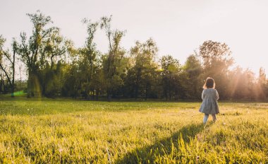 Karahindiba çayır günbatımı güneş ışığı bakcground on Tarih ile oynayan güzel küçük kız çocuk görünümünü arka. Şirin çocuk zevk ve Doğa Park keşfetmek. Mutlu duygu. Mutlu anneler günü. Çocukluk