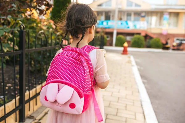 Image Vue Arrière Mignonne Petite Fille Préscolaire Marchant Plein Air — Photo