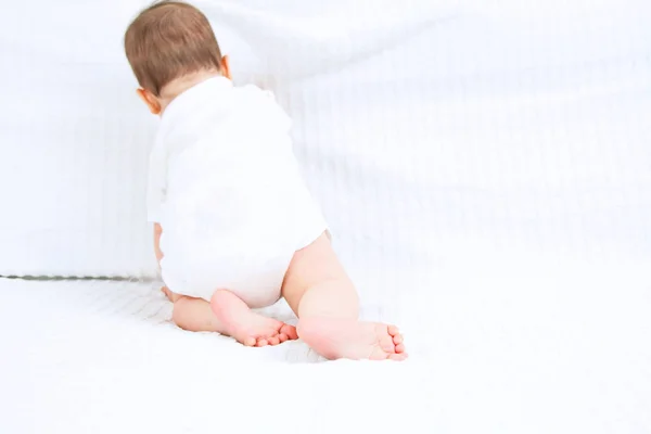Όμορφη Χαριτωμένο Μωρό Πίσω Λευκό Φόντο — Φωτογραφία Αρχείου