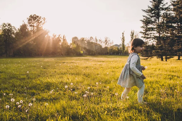 Felice Allegro Bambino Bambina Che Gioca Sul Prato All Aperto — Foto Stock