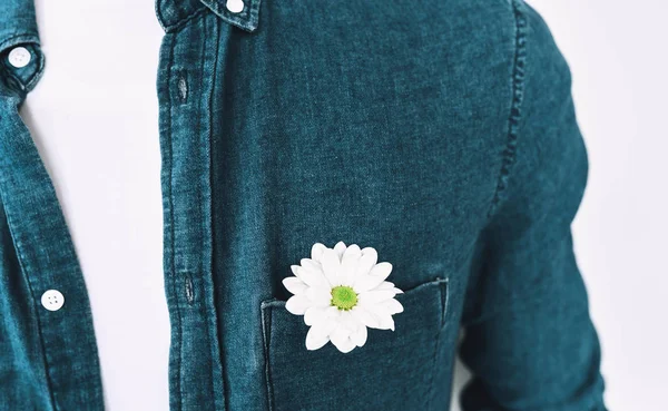 Closeup cropped image of handsome man in blue shirt with a flower in pocket, posing over white wall. Valentine's Day. Mother's Day concept — Stock Photo, Image