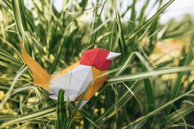 Parkta yeşil çim üzerinde oturan renkli origami kağıt kuş açık görüntü. Ekoloji ve çevre kavramı. Yaban hayatı ve insan kavramı.