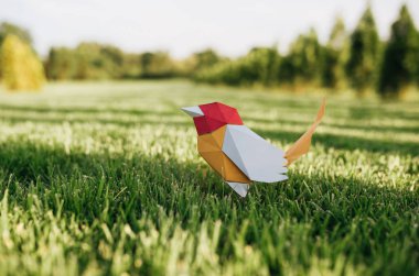 Parkta yeşil çim üzerinde duran renkli origami kağıt kuş Görüntü. Ekoloji ve çevre kavramı. Yaban hayatı ve insan kavramı.