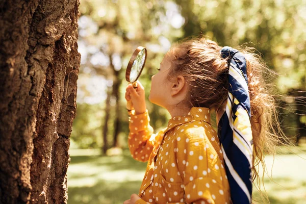 야외 돋보기로 자연을 탐험 하는 귀여운 어린 소녀의 후면 이미지. 돋보기와 숲에서 노는 아이. 공원의 나무에 돋보기를 통해 찾고 호기심 아이 — 스톡 사진