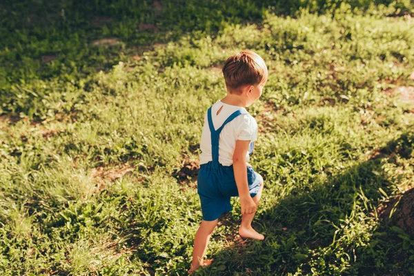 Orizzontale all'aperto vista posteriore immagine di felice bambino che indossa pantaloncini blu che giocano alla luce del sole e sfondo della natura. Bambino allegro che corre sull'erba verde nel parco. Il ragazzo si diverte. Infanzia. — Foto Stock