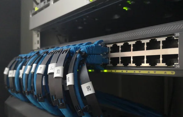 Ağ anahtarı ve ethernet kablosu bilgisayara bağlanıyor