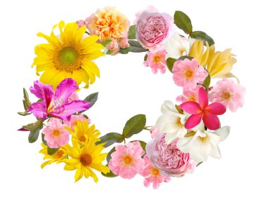 Beyaz arkaplanda izole edilmiş güzel çiçek.