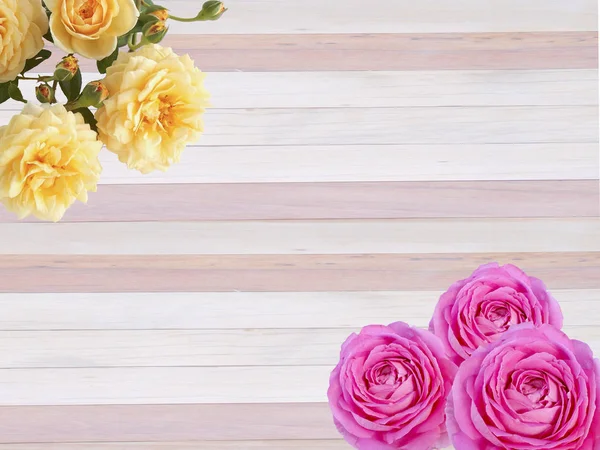 Květ Rozpuku Izolované Dřevěné Pozadí — Stock fotografie