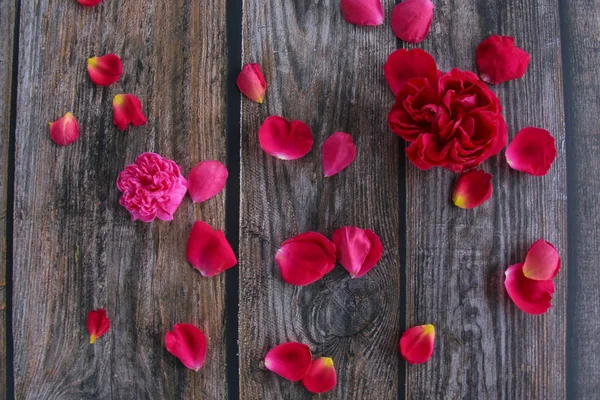 Λουλούδι Κόκκινα Ροδοπέταλα Στο Ξύλινο Πλαίσιο — Φωτογραφία Αρχείου
