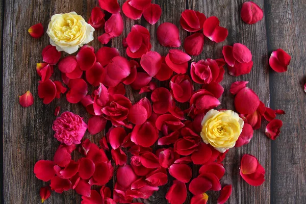 Λουλούδι Κόκκινα Ροδοπέταλα Στο Ξύλινο Πλαίσιο — Φωτογραφία Αρχείου