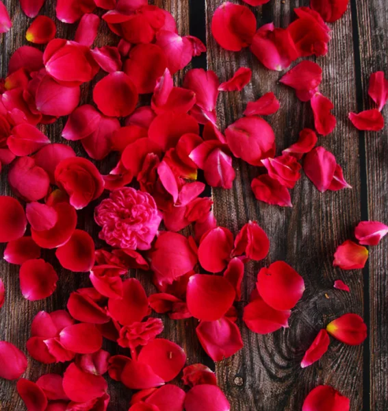 Rosa Roja Pétalo Flor Sobre Fondo Madera — Foto de Stock