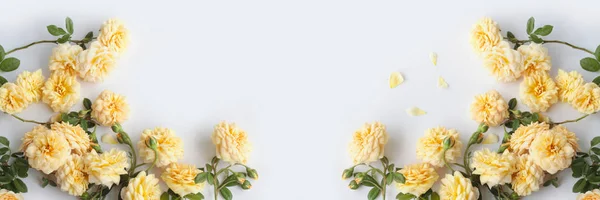Żółty Kwiat Róży Izolowany Białym Tle — Zdjęcie stockowe