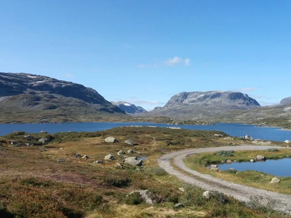 Norwegian Nature Summer — Stock Photo, Image