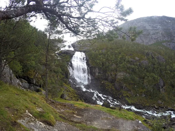 Şelale Norveç Milli Parkı içinde