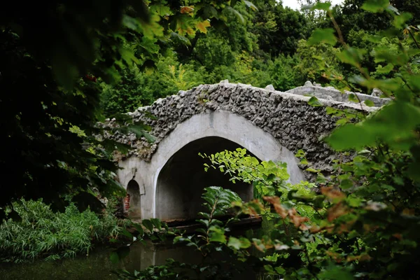 Каменный Мост Через Реку Лесу Лицензионные Стоковые Изображения