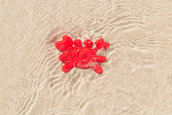 Краб Отшельник Песке Мелководьем Солнечными Лучами Поверхности Воды — стоковое фото