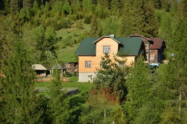 Uzlaşma. Yeşillikte, dağda bir ev