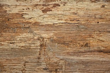 Ahşap doku, fotoğrafçı için arka plan.