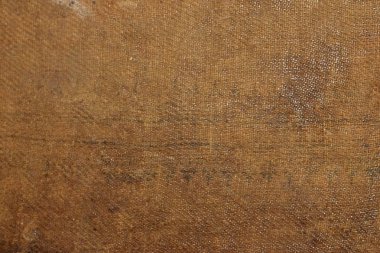 Kumaş. Arkaplan için deri kumaş