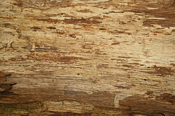Notch Board Wood Texture — Stock Photo, Image