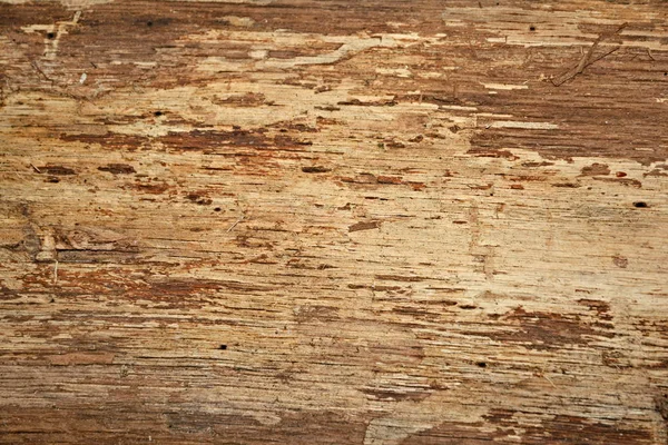 Notch Board Wood Texture — Stock Photo, Image