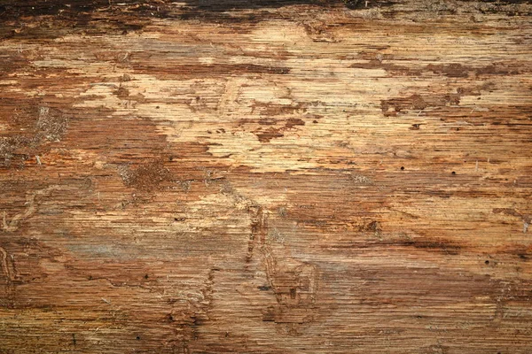 Tekstura Drewna Tło Dla Fotografa — Zdjęcie stockowe