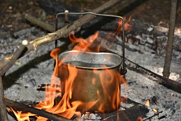 森の中のたき火でお茶のポット ロイヤリティフリーのストック写真