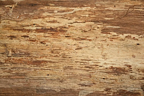 ノッチ ボード 木の質感 ロイヤリティフリーのストック画像