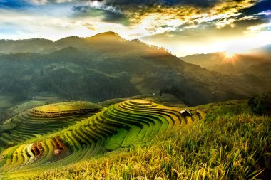 Pirinç tarlaları üzerinde Mu Cang Chai, Yenbai, Vietnam Teras. Vietnam manzaralar