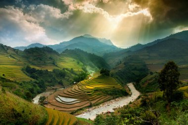 Pirinç tarlaları üzerinde Mu Cang Chai, Yenbai, Vietnam Teras. Vietnam manzaralar