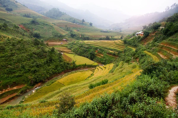 Pirinç tarlaları üzerinde Mu Cang Chai, Yenbai, Vietnam Teras. Vietnam manzaralar