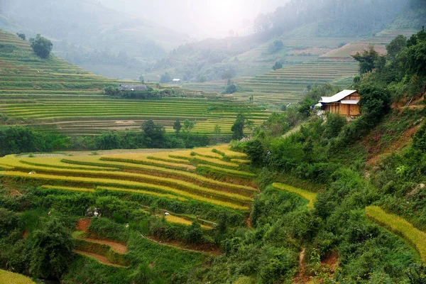 Pirinç tarlaları üzerinde Mu Cang Chai, Yenbai, Vietnam Teras. Vietnam manzaralar