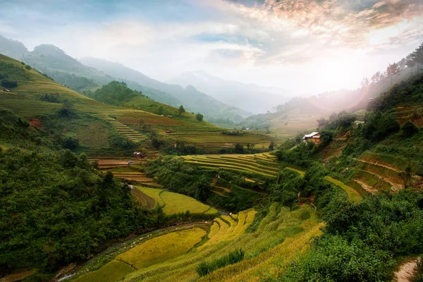 Pirinç Tarlaları Üzerinde Cang Chai Yenbai Vietnam Teras Vietnam Manzaralar — Stok fotoğraf