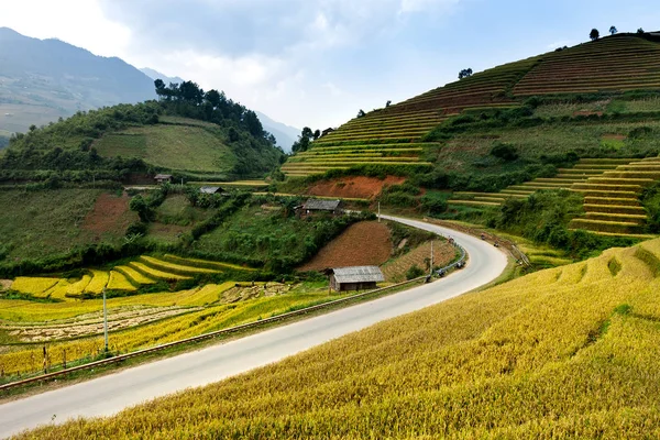 Rizsföldek Teraszos Cang Chai Yenbai Vietnam Vietnam Tájak — Stock Fotó