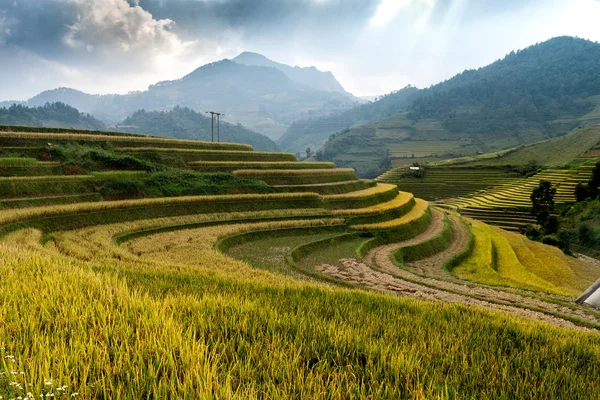 Pirinç tarlaları üzerinde Mu Cang Chai, Yenbai, Vietnam Teras. Vietnam manzaralar