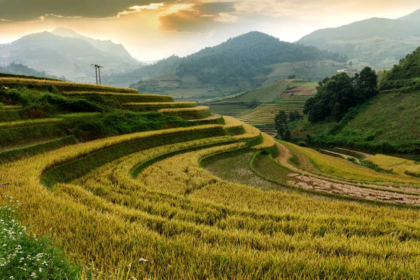 Pirinç tarlaları üzerinde Mu Cang Chai, Yenbai, Vietnam Teras. Vietnam manzaralar