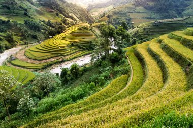 Pirinç tarlaları üzerinde Mu Cang Chai, Yenbai, Vietnam Teras. Vietnam manzaralar