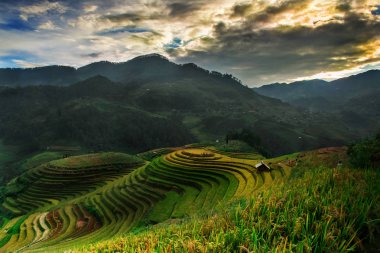 Pirinç tarlaları üzerinde Mu Cang Chai, Yenbai, Vietnam Teras. Vietnam manzaralar