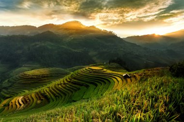 Pirinç tarlaları üzerinde Mu Cang Chai, Yenbai, Vietnam Teras. Vietnam manzaralar