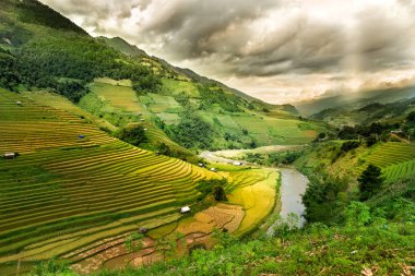 Pirinç tarlaları üzerinde Mu Cang Chai, Yenbai, Vietnam Teras. Vietnam manzaralar