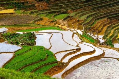 Pirinç tarlaları üzerinde Mu Cang Chai, Yenbai, Vietnam Teras. Vietnam manzaralar