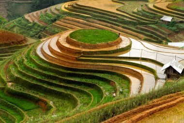 Pirinç tarlaları üzerinde Mu Cang Chai, Yenbai, Vietnam Teras. Vietnam manzaralar