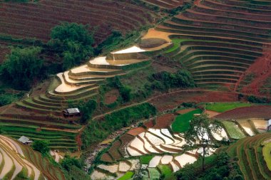 Pirinç tarlaları üzerinde Mu Cang Chai, Yenbai, Vietnam Teras. Vietnam manzaralar
