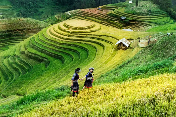 Cang Vietnam September 2016 Hmong Bauern Fotografieren Auf Den Berühmten — Stockfoto
