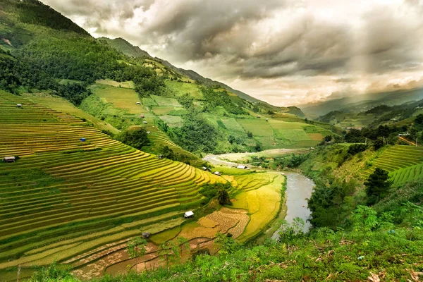 Campos Arroz Terraços Cang Chai Yenbai Vietnã Vietname Paisagens — Fotografia de Stock