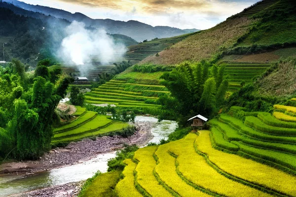 Rizsföldek Teraszos Cang Chai Yenbai Vietnam Vietnam Tájak — Stock Fotó