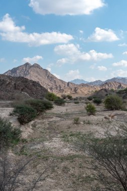 Birleşik Arap Emirlikleri dağlarının manzarası Vadi Al Qor 'dan Buraq Barajı' na kadar 800 metre yükseklikte.