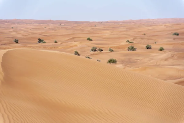 Pouštní Oblasti Sharjah Jedním Nejnavštěvovanějších Míst Terénu Podle Terénu Big — Stock fotografie